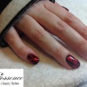 Weekly Photo Roundup