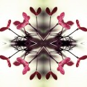 MBFW: Malan Breton f/w 2013 collection inspired by Marilyn Monroe, Cary Grant