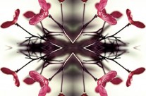 MBFW: Malan Breton f/w 2013 collection inspired by Marilyn Monroe, Cary Grant