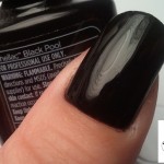 cnd_shellac_blackpool1 - Copy