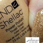cndshellac_tinseltoast_holiday2012