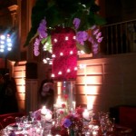 graceormonde15