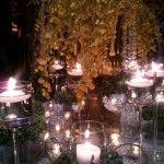 graceormonde17