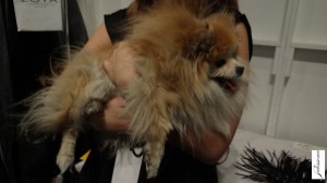 joannamastroianni7_mbfwf2012