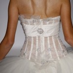 stpucchi9378backdetail