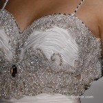 stpucchi_9384detail