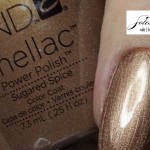 sugaredspiced_cndshellacf2012
